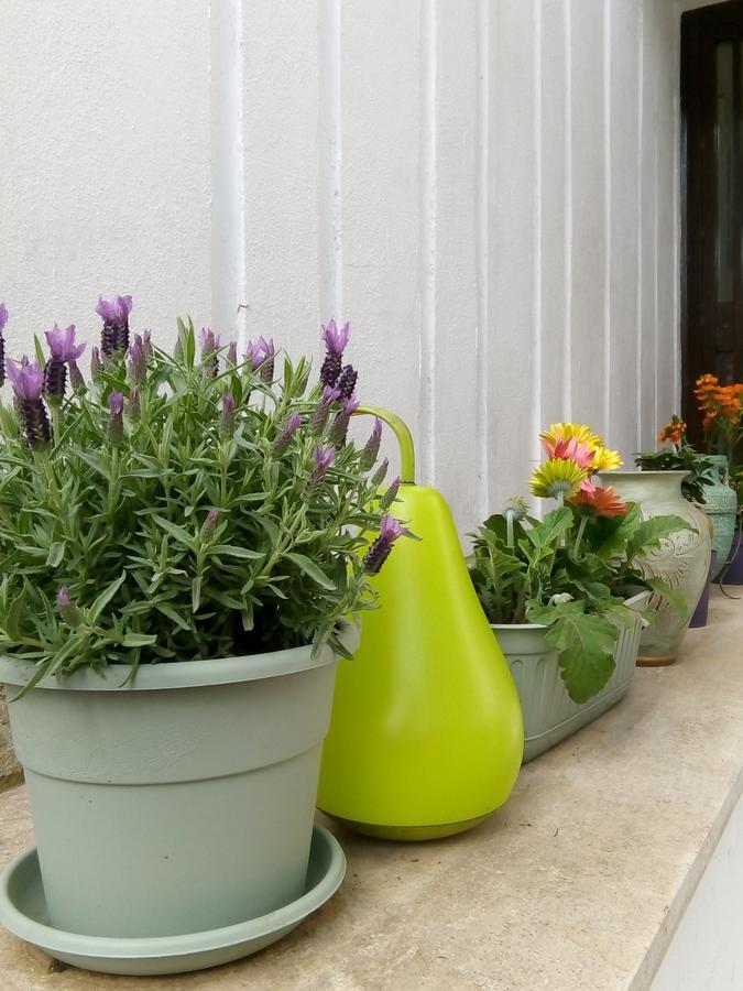 Bed and breakfast Aquarius Rome Extérieur photo
